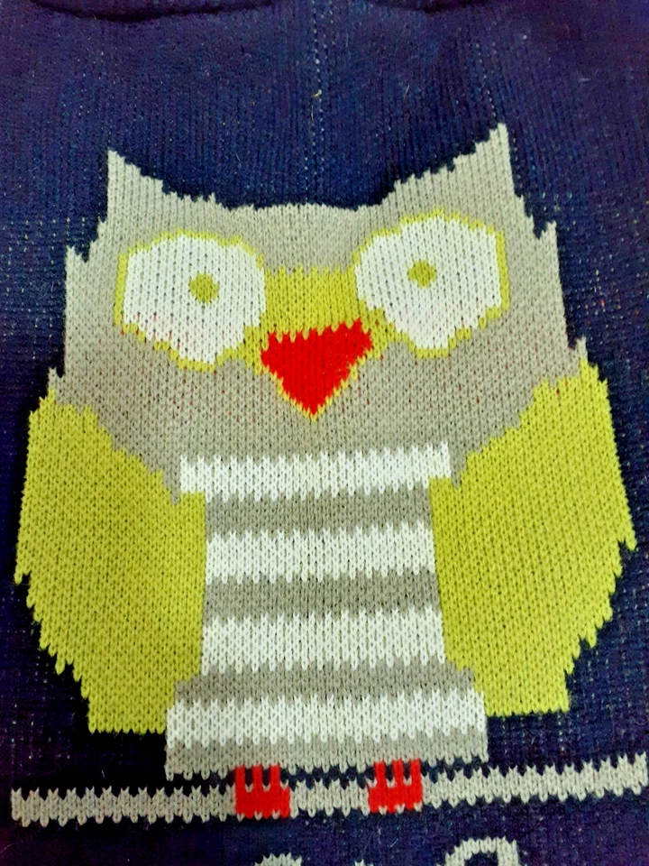 Suéter de Acrílico para Perros Mascotas "NIGHT OWL" Gran Elección Talla XL Foto 2 de 4