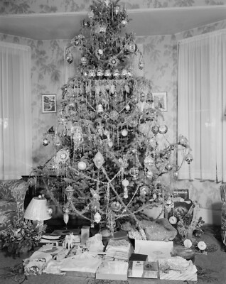 VINTAGE CHRISTMAS ANTIQUE STYLE TREE WINTER PHOTO - 8X10 Glossy Printed Photo