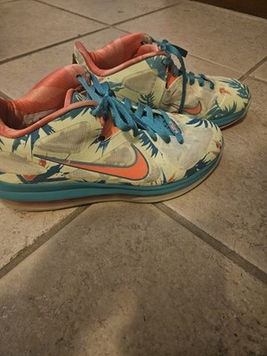 Nike LeBron 9 Low LeBronald Palmer Edition size 9