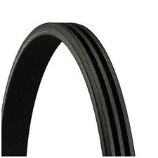 Continental Ctam Keilrippenriemen 3639519 3PK576 ELAST