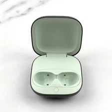 Beats by Dr. Dre Beats Fit Pro Sage Green Case Replacement