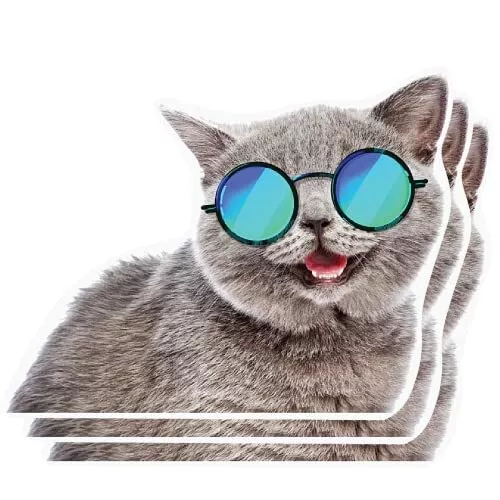 Pack 3 Pcs Sticker - Funny Innocent Cat Face - Cat Meme Sticker