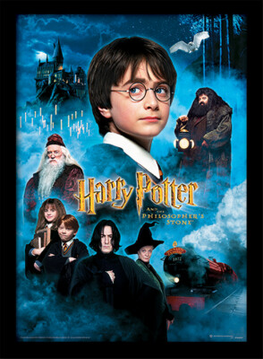 Harry Potter - Stein der Weisen - Offizieller 30 x 40 cm gerahmter Druck Wandbild