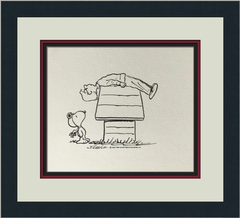 【新品未使用】Peanuts Wall hanging Peanuts&Co Amazon.com: Open Road Brands Peanuts Charlie Brown and Gang