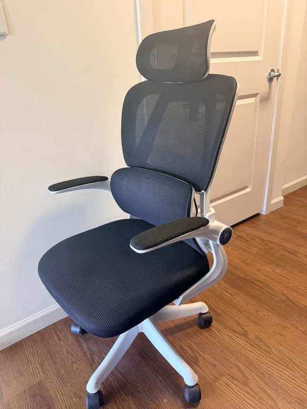 Black Mesh Ergonomic Office/Desk Chair with Headrest, Armrests, Rolling Base