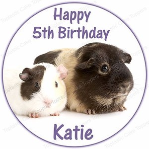 guinea pig cake topper