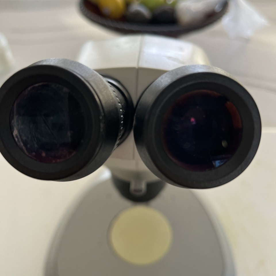 Leica S6E, Stereo Microscope eBay