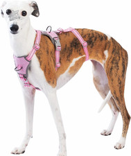 Pettorina Antifuga Cane, Pettorina Cane Taglia Media Grande Piccola, Imbracature