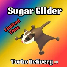 Adopt from ME Today - Sugar Glider - Turbo Delivery - LIMITED TIME
