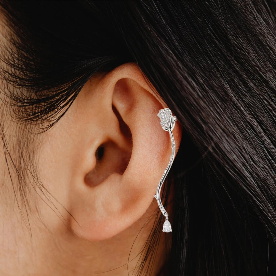  2 Pcs Orecchini A Clip Clips Gioielli Per Le Orecchie L'orecchio - Immagine 2 di 4