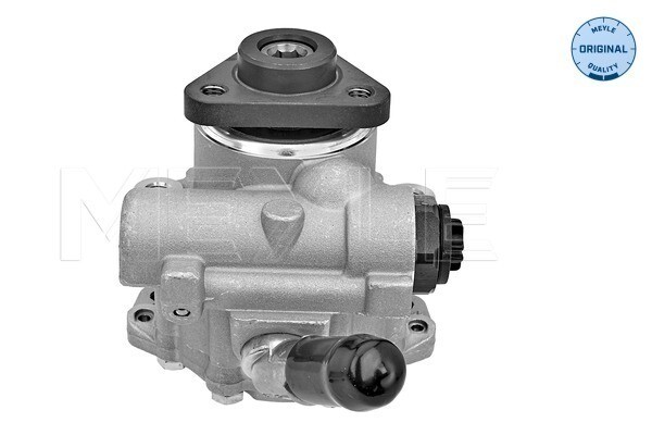 Meyle Servopumpe Lenkung Hydraulisch FüR BMW 3Er Touring E91 E90 E87-image