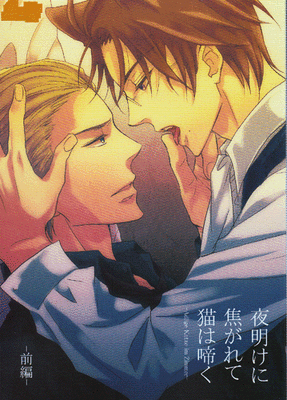 Hetalia Axis Powers Doujinshi Germany X Austria Adlige Katze Im Hetalia Axis Powers Doujinshi Germany X Austria Adlige Katze Im