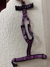 Annyx Fun Hundegeschirr Wildflieder XS Limited Edition