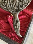 Foto 14 di 21