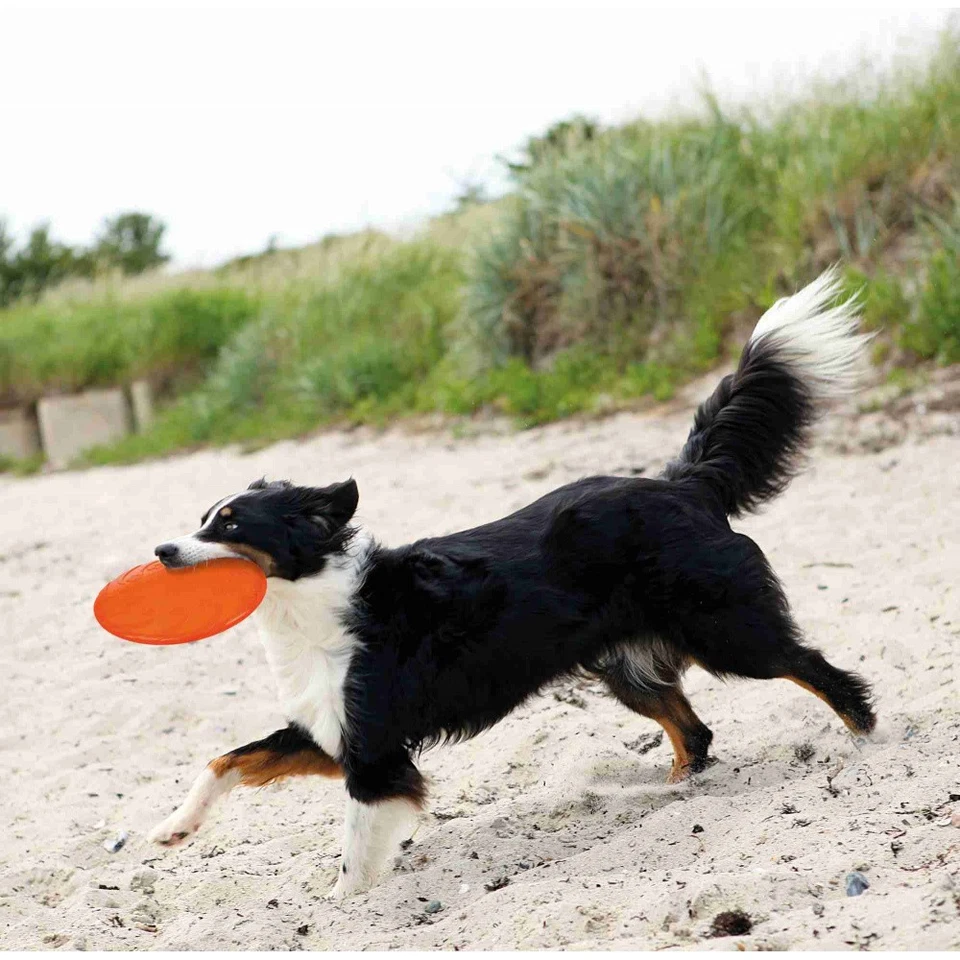 Disque Volant, TPR, flottant pour chiens ø 22 cm Coloris: aléatoires. - Photo 2/4