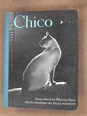 Chico