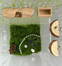 6 PCS Jumping Spider Terrarium Accessories Set Climbing Toy Feeder Platforms