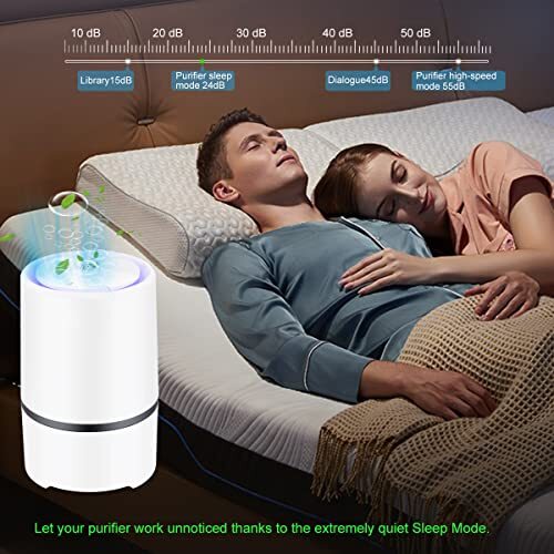MELEDEN HEPA Air Purifier for Smoke, Pollen, Pet Dander, Odor, Dust