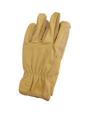 Wells Lamont Gloves