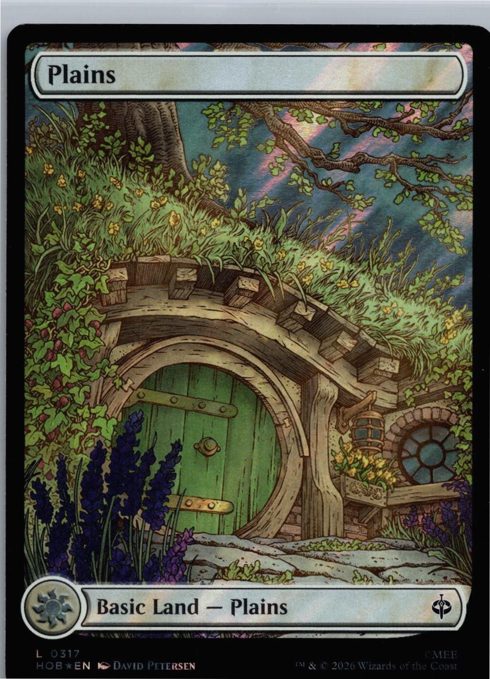 Plains 317 MTG The Hobbit Seasonal Surge Foil Full Art Bag End Spring LOTR