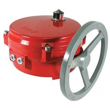 Bray 70E201-113Da536/K Butterfly Valve, 120V, 8 In.