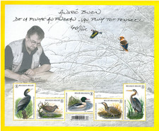 BELGIUM 2025 40 Years of Birds by Andre Buzin - From Feather to Brush - Sheetlet
