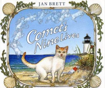 Comet's Nine Lives