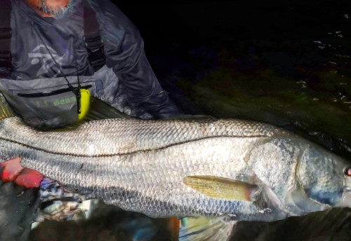 Swimbait sale auction 10 swimbaits  Striper swimbait fishing Glide Bait bass - Image 8