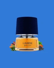 Lumiere Garcon Eau De Parfum By French Avenue Fragrance World 100ml 3.4 FL OZ
