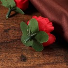 Bild 8 von 10