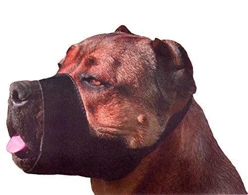 Cesar millan dog muzzle outlet