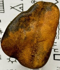 Native American Indian Authentic Paleo Artifact Stone Tool Carved, 4.1 oz • VA
