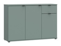 Sideboard Wohnzimmerschrank Kommode TüRen Schublade SalbeigrüN Matt 120 X 82 Cm
