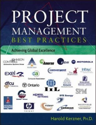 Project Management Best Practices : Achieving Global Excellence H