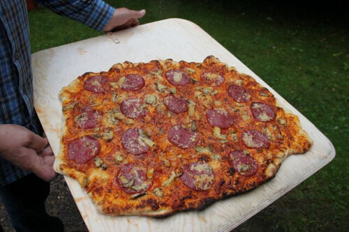 RAMSTER Speicherofen Doppelter Gotthard Brotbackofen Holzbackofen Pizzaofen - Bild 11 von 11