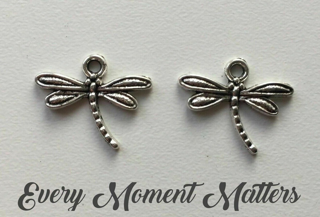 20 x Tibetan Silver DRAGONFLY INSECT 3D 19x15mm Charm Pendant