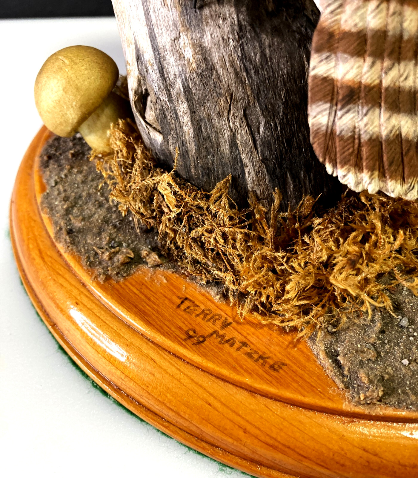 BLIND AWARD-WINNING MASTER CARVER Terry Matzke 7.5" Ferruginous Pygmy Owl