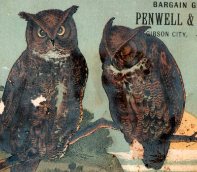 1880s Penwell & Stamm Moon Virginia Owls Gibson City IL F189