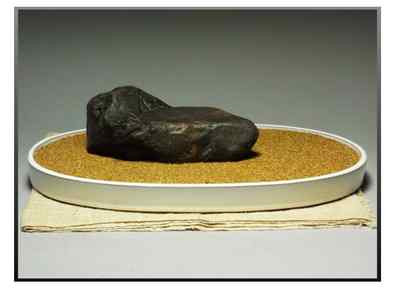 Japanese Collection Suiseki Bonsai Beautiful Stone 瀬田川/ 3063g