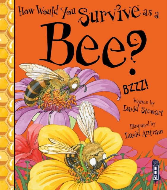 How Would You Survive As A Bee? by David Stewart (Paperback Book)