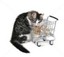 great-merchandises