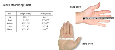 Director's Showcase White Deluxe Sure Grip Marching Band Parade Gloves