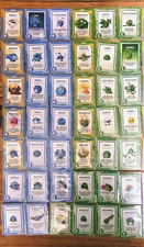 Doomlings Overlush non-holo playset. Includes all 173 cards minus kidneys/swarms