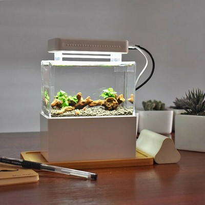 portable aquarium