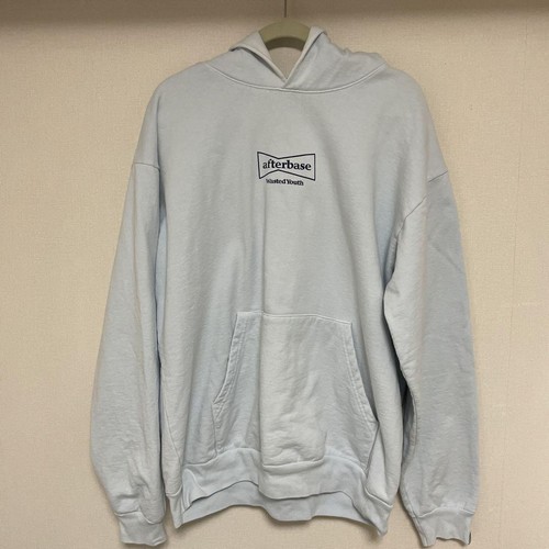 Wasted youth afterbase hoodie - Gem 