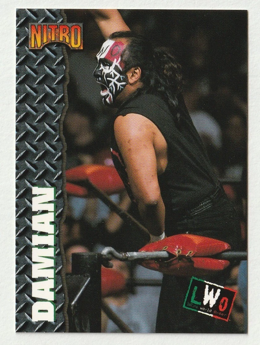 World Wrestling Championship (WCW) Ungraded Trading Cards