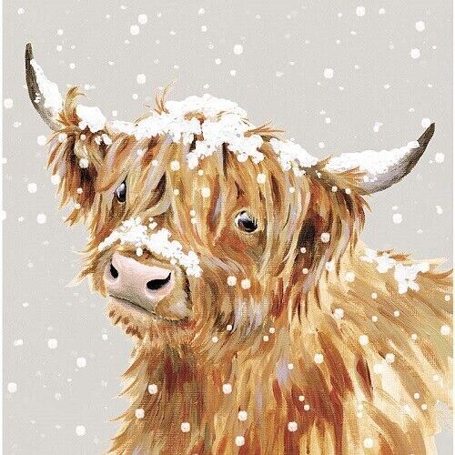 Wrendale Designs luxury boxed Christmas card snowy highland cow