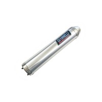 Giannelli Auspuff Street 2STROKE FüR Aprilia Tuono 125 Bj. 2004-2004