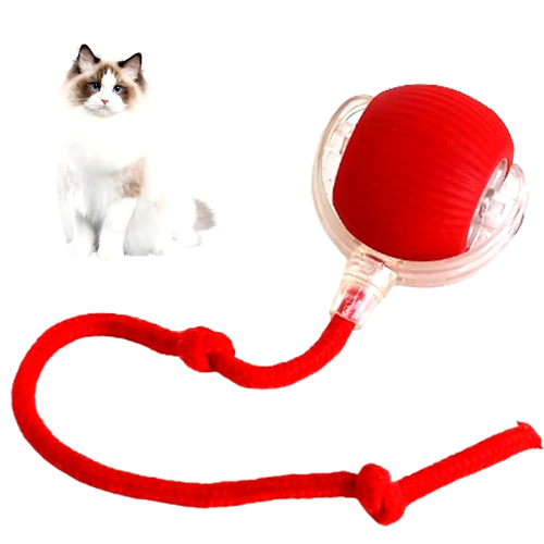 Interactive Rechargeable Cat and Dog Rolling Ball Toy - Smart Pet Entertainment - Picture 9 of 13