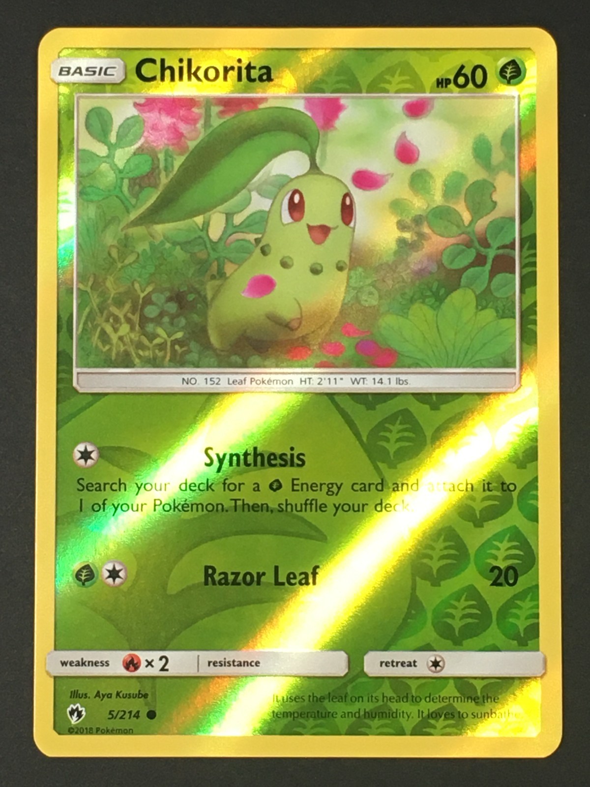 Pokemon TCG Chikorita 5/214 Reverse Holo Common SM Lost Thunder LP